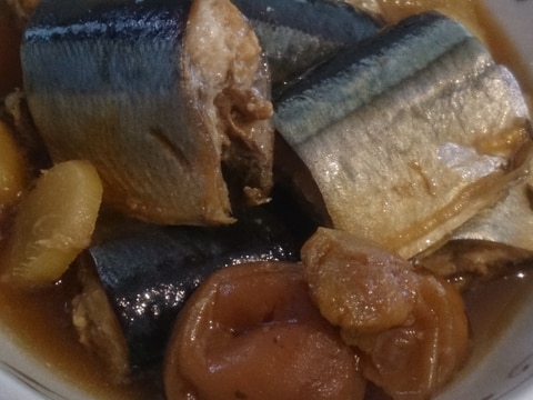 さんまの梅煮